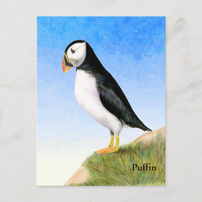 Cartão Postal de Pintura em Aquarela de Puffin (Frente)