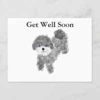 Cartão postal de Poodle Cinza 'Recupere-se logo' #