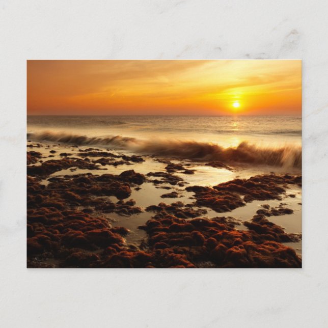 Cartão postal de pôr do sol lindo (Frente)