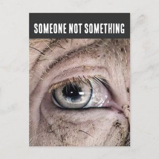 Cartão postal de PORCO, ALGUÉM NÃO ALGO