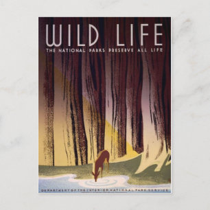 Cartão postal de Poster de Parques Nacionais WPA