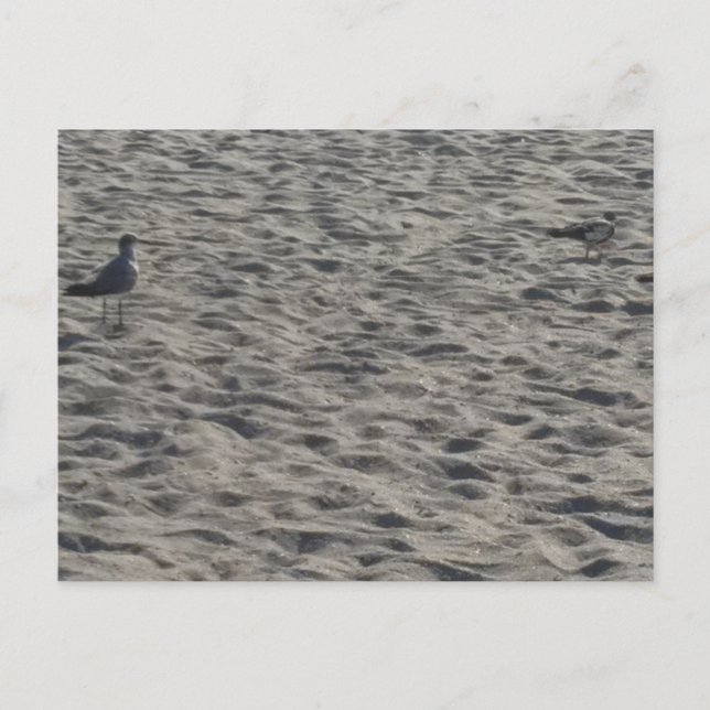 Cartão Postal de Praia (Frente)
