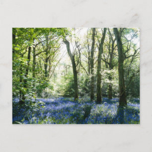 Cartão postal de primavera Sunbeams
