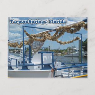 Cartão postal de Primavera Tarpon