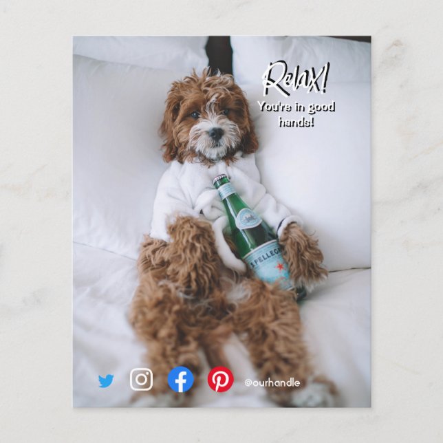 cartão postal de propriedade engraçada relaxar cão (Frente)