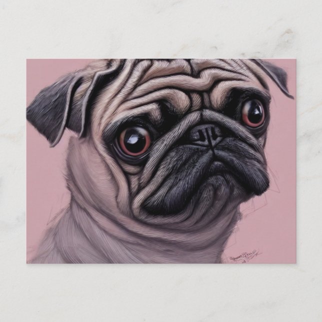 Cartão postal de pug (Frente)