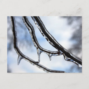 Cartão postal de Ramificações Icy