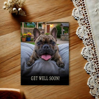 Cartão postal de recuperação de Bulldog Francês