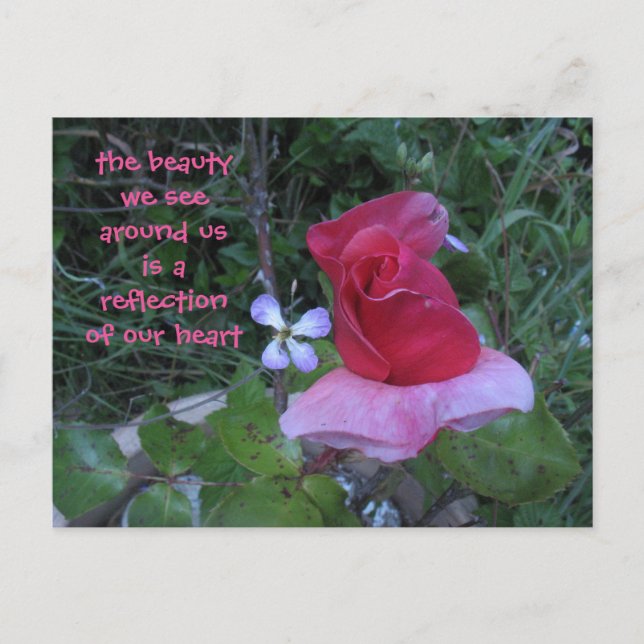 cartão postal de reflexão (Frente)