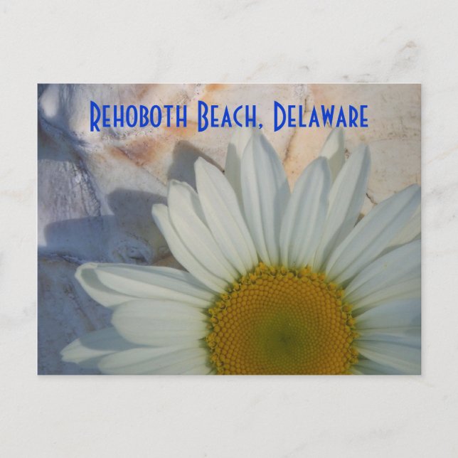 Cartão postal de Rehoboth Beach Daisy (Frente)