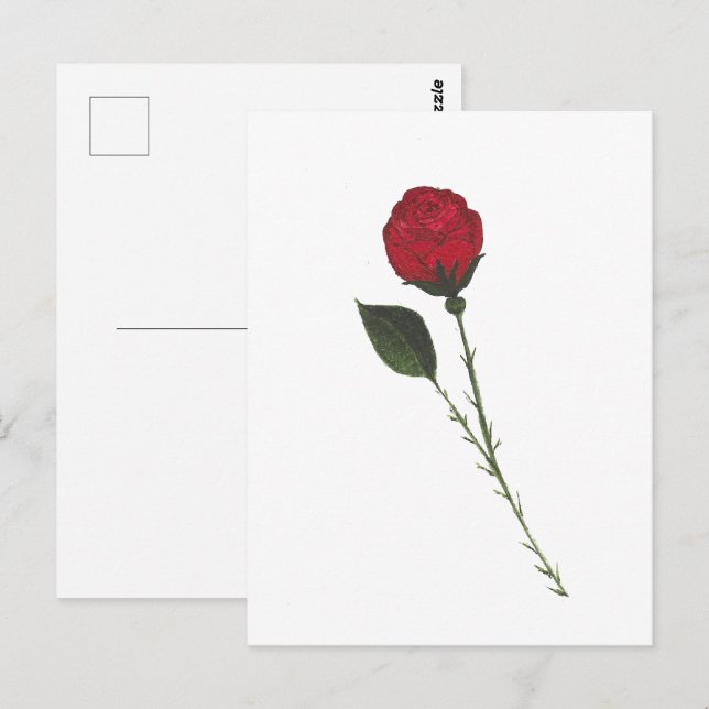 Cartão postal de Rosa Vermelha (Frente/Verso)