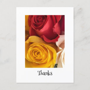 Cartão Postal de Rosas