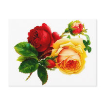 Cartão Postal de Rosas Vermelhas e Amarelas Antiga