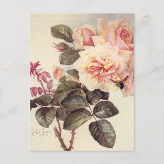 Cartão postal de Rosas Vintage