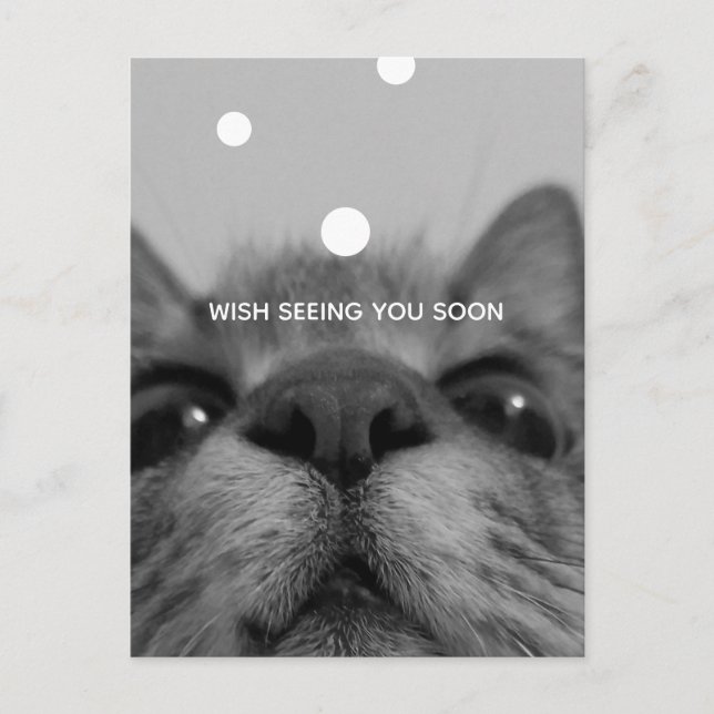 Cartão postal de rosto preto&branco (Frente)