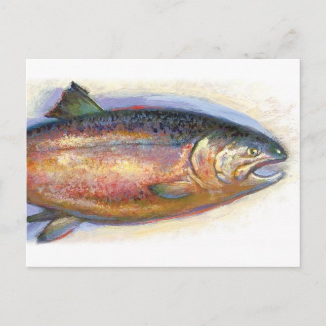 Cartão postal de salmão (Frente)