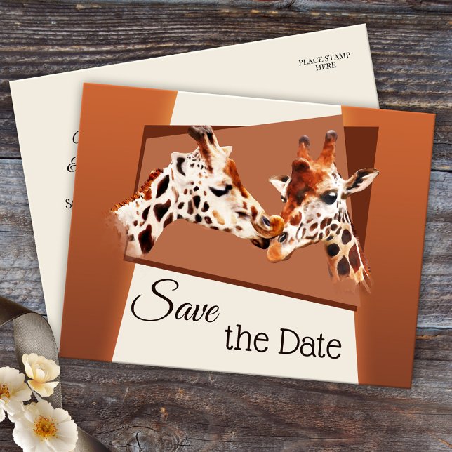 Cartão postal de salvar a data do Safari Zoo da Gi (Cute and romantic zoo or safari Save the Date postcard with a painting of giraffes in love)