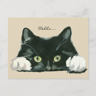 cartão postal de saudação de gato preto e branc