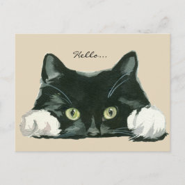 cartão postal de saudação de gato preto e branco