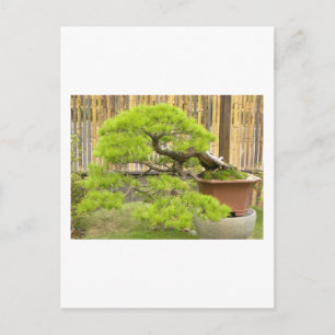 Cartão postal de saudações/convite de Bonsai