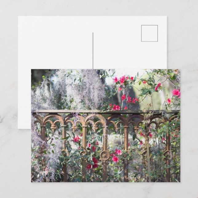 Cartão Postal de Savannah Laurel Grove (Frente/Verso)