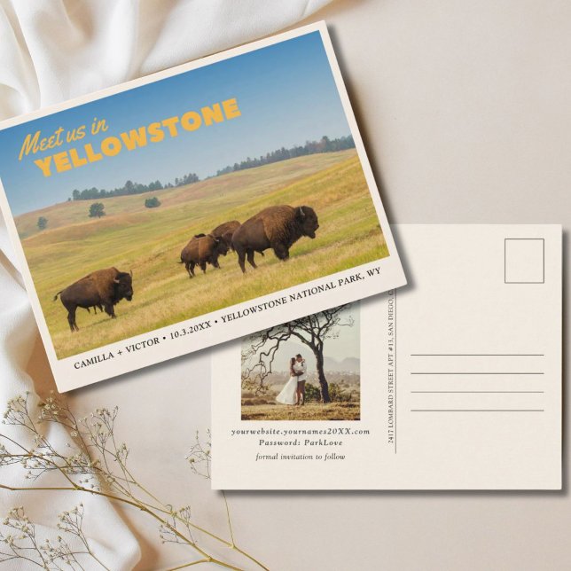 Cartão Postal de Save the Date do Parque Nacional  (Yellowstone National Park Save the Date Postcard)
