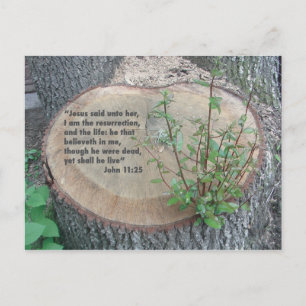 Cartão postal de script