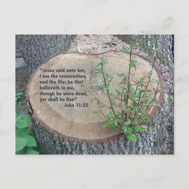 Cartão postal de script (Frente)