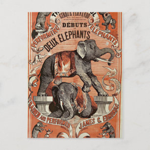 cartão postal de show de elefante de circo antigo