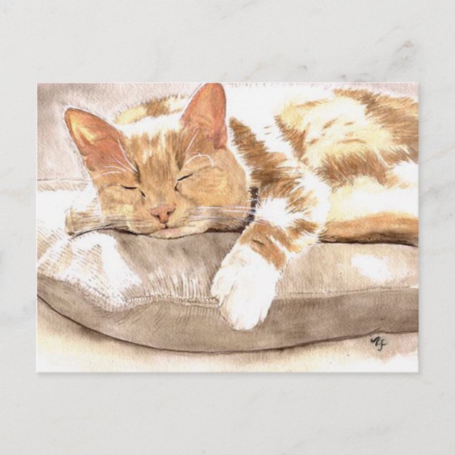 Cartão Postal de Soneca de Gato (Frente)