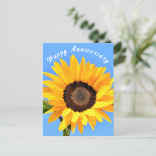 Cartão postal de Sunflower on Blue Sky