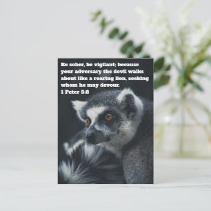 Cartão Postal de Suricata Cristão