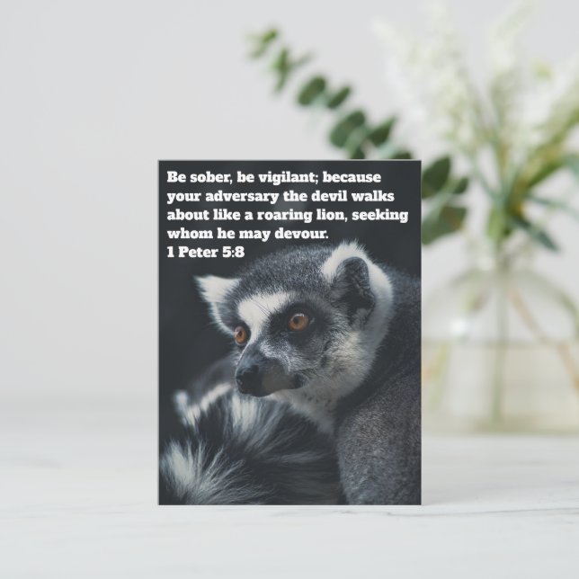 Cartão Postal de Suricata Cristão (Em pé/Frente)