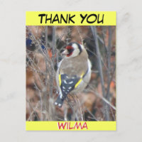 Cartão postal de texto CUTE GOLDFINCH CUST. THANK 