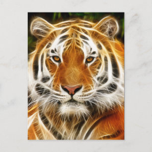 Cartão postal de tigre
