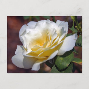 Cartão postal de troca de inspiração