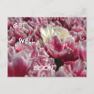 Cartão postal de tulipas brancas cor-de-rosa para 