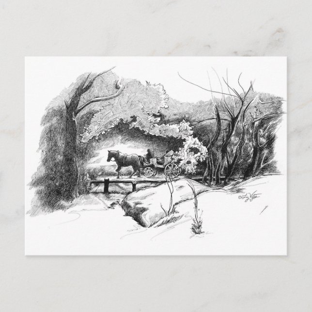 Cartão postal de um Passeio pelo Central Park (Frente)