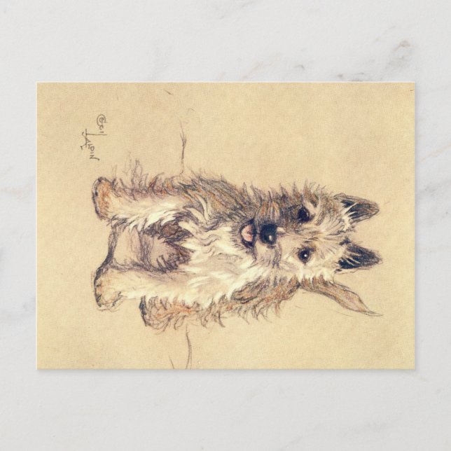 Cartão postal de uma dúzia de cães ou de Cecil Ald (Frente)