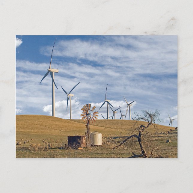 Cartão postal de vento azul (Frente)