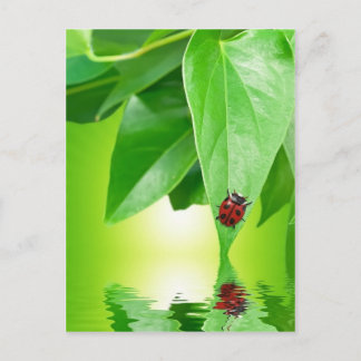 Cartão postal de verão