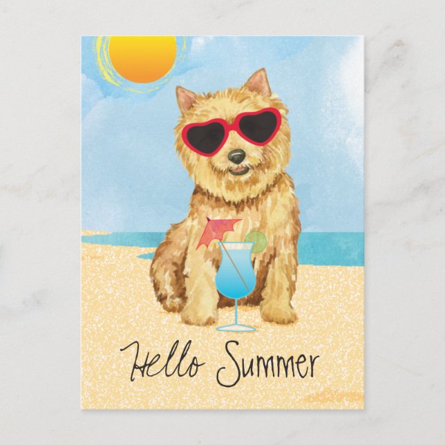 Cartão postal de verão do Norwich Terrier (Frente)