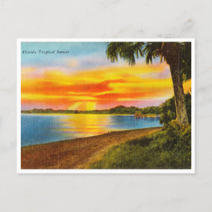 Cartão postal de viagem do pôr do sol tropical da 