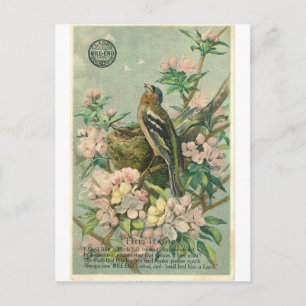 Cartão postal de Vintage Lark Bird