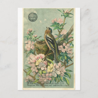 Cartão postal de Vintage Lark Bird
