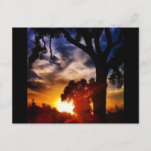 Cartão postal de Visalia Sunset