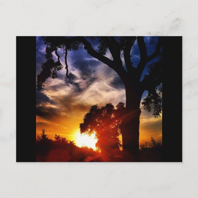 Cartão postal de Visalia Sunset (Frente)
