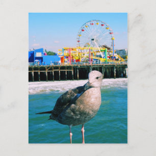 Cartão postal de visitante do Santa Monica Pier