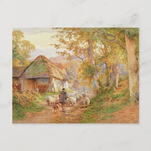 Cartão Postal De volta à dobra (Frente)