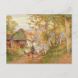 Cartão Postal De volta à dobra